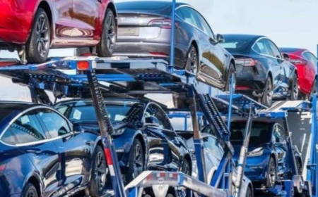 Reliable Georgia Car Shipping Services – Transport Masters USA