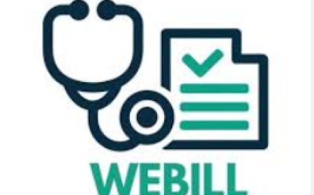 Boost Revenue with Top-Rated Home Health Billing Services – Webill Insights