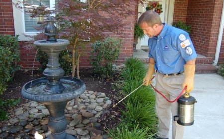 Comprehensive Guide to Pest Control in Everett: Eco-Friendly and Effective Solutions