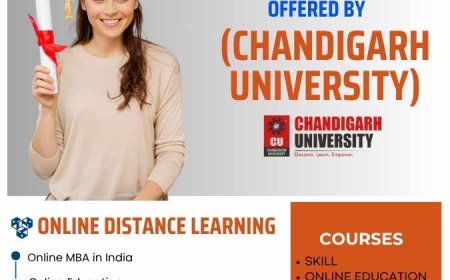 Why Is an Online Master of Business Administration the Greatest Choice for Working Professionals?