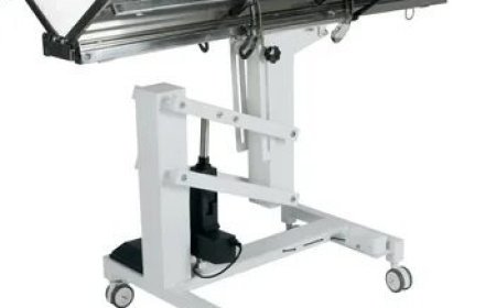 Ergonomic Fold Down Veterinary Exam Table Ideas