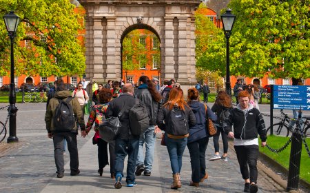 Begin Your Studies in Ireland with a January Start