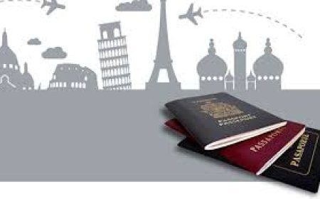 Streamlining Your Immigration Journey Why You Need a Cairns Migration Agent