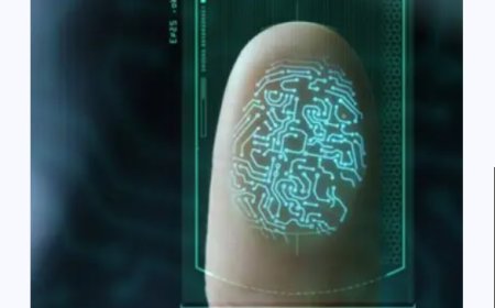 Enhancing Digital Identity Verification with NFC and Facial Biometric Authentication