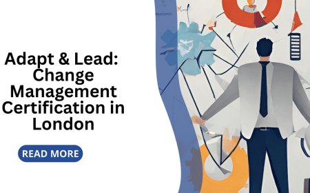 Adapt & Lead: Change Management Certification in London