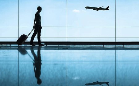 Top-Rated Migration Services in Brisbane to Help You Settle with Ease