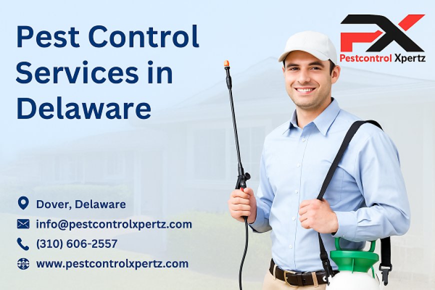 Choosing the Best Pest Control Company in Glasgow: A Homeowner’s Guide