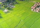 Abhinandan Lodha Amritsar Project with Gated Plots