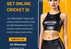 Behind the Scenes How MadrasBook Ensures Smooth Betting Operations