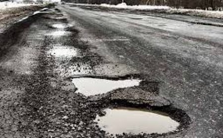 Winter Pothole Reporting Apps with Predictive Analytics: Built by a Mobile App Development Company in Chicago
