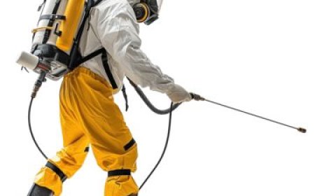 Start Your Driving Journey Today