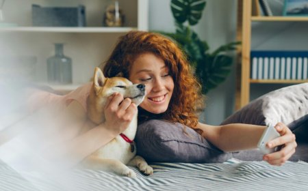 Winning Strategies for Colour Prediction Games in 2025