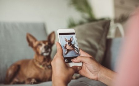 Revolutionize Pet Care with the Latest Pet Tech Trends