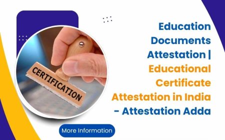 Everything You Need to Know About Educational Certificate Attestation in India