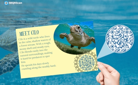 Real-Time Monitoring with Fahlo QR Code: A Smarter Way to Connect with Wildlife