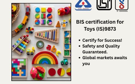 Everything You Need to Know About BIS for Toys in India