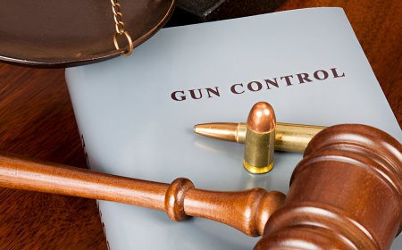 John Enos Warns of Judicial Activism Eroding Second Amendment Freedoms  The Right to Keep and Bear Arms Book Summary