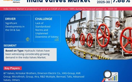 India Valves Market Size & Forecast 2025–2030: Trends and Growth Insights