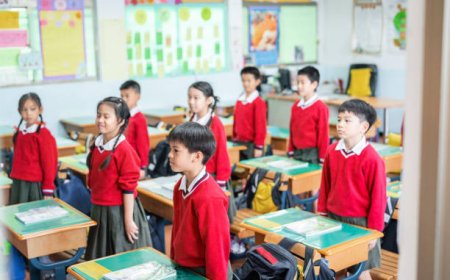 How Student Ambassadors Build Peaceful Schools