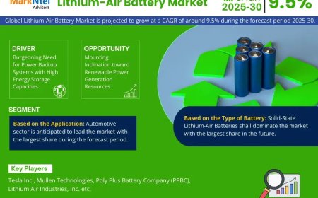 Lithium-Air Battery Market Size & Forecast 2025–2030: Trends and Growth Insights