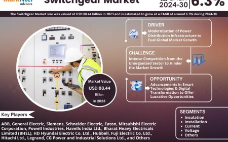 Switchgear Market Size & Forecast 2024–2030: Trends and Growth Insights