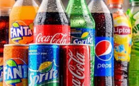 What Makes a Food Beverage Sales Agency Worth It?