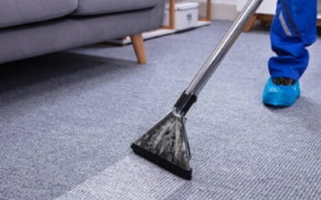 ﻿Carpet Cleaning Services for Allergy-Prone Families