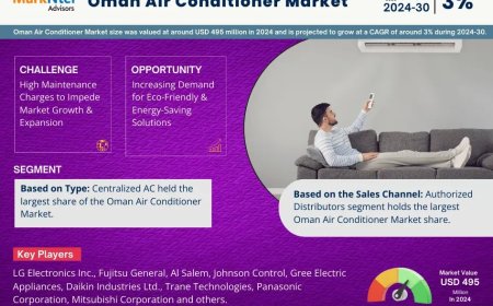 Oman Air Conditioner Market Size & Forecast 2024–2030: Trends and Growth Insights