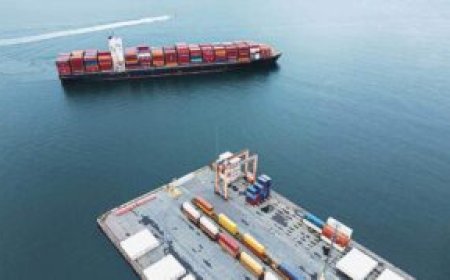 A Complete Guide to Reliable Vehicle Storage Services