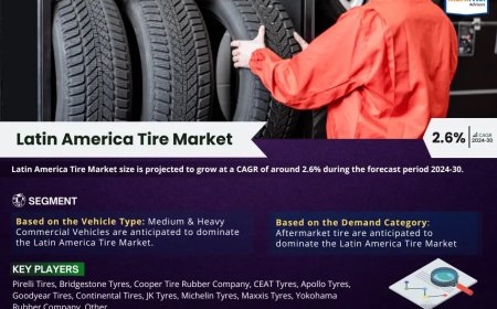 Latin America Tire Market Size & Forecast 2024–2030: Trends and Growth Insights