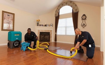 Expert Water Damage Repair Services | Fast & Reliable