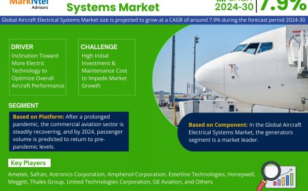 Aircraft Electrical Systems Market Size & Forecast 2024–2030: Trends and Growth Insights