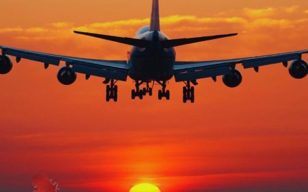 turkish airlines miami office