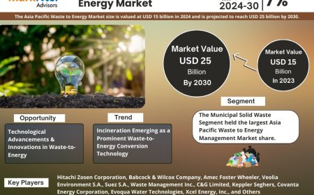 Asia Pacific Waste to Energy Management Market Size & Forecast 2024–2030: Trends and Growth Insights