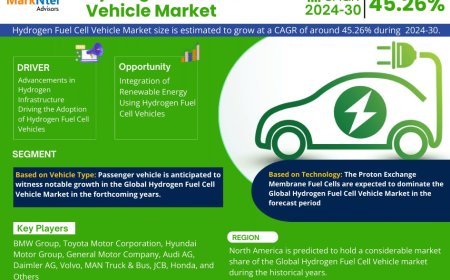 Hydrogen Fuel Cell Vehicle Market Size & Forecast 2024–2030: Trends and Growth Insights