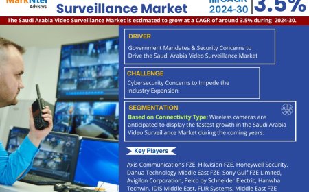 Saudi Arabia Video Surveillance Market Size & Forecast 2024–2030: Trends and Growth Insights
