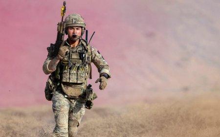 Defense IT Spending Market Trends, Growth Opportunities and Forecast 2025-2033