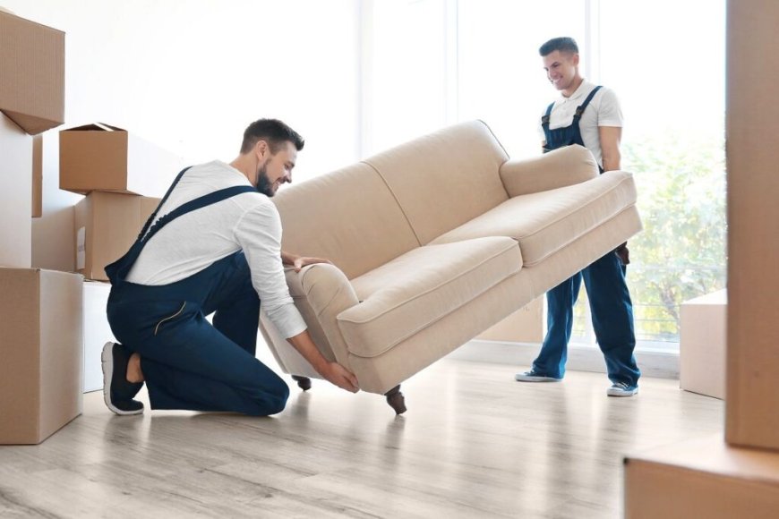 Why Choose Affordable Removals in Brisbane?